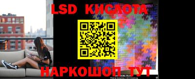 прущие грибы Краснознаменск