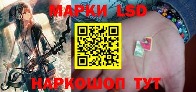 прущие грибы Краснознаменск