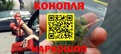 прущие грибы Краснознаменск